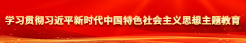 狂插老太婆搔逼学习贯彻习近平新时代中国特色社会主义思想主题教育